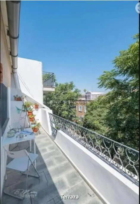 Atico Macarena Centro Lejlighed Sevilla
